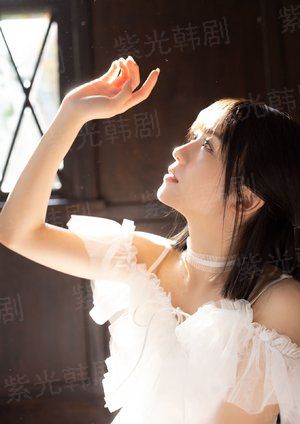 四时情缘