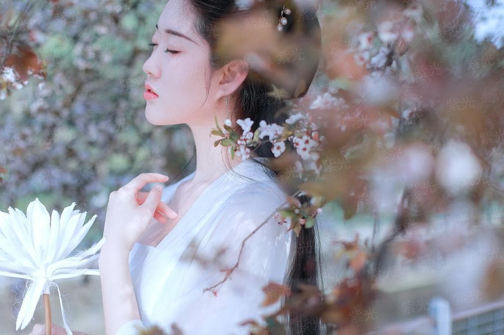 符道禁天