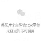 剑指天帝